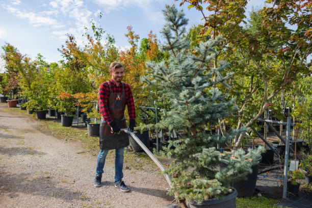 Best Soil Testing and Treatment  in Paonia, CO